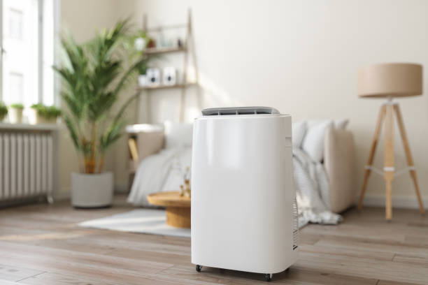 Best Furnace Cleaning in Hudson, FL
